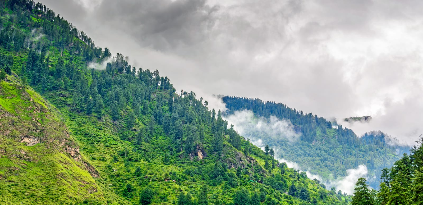 Kasol